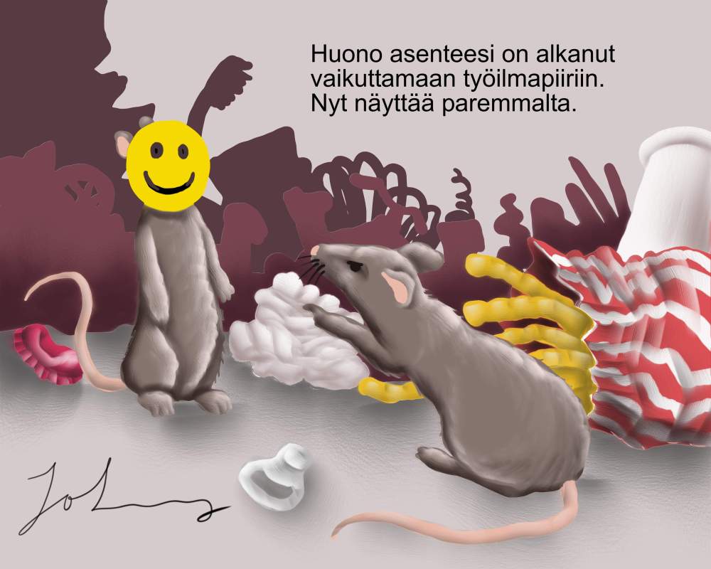 Paremmalle näyttää 11